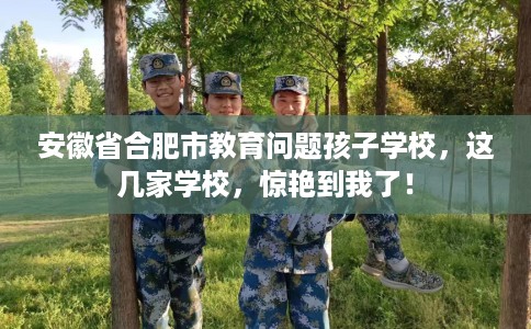 安徽省合肥市教育问题孩子学校,这几家学校,惊艳到我了! 安徽省合肥市教育问题孩子学校,这几家学校,惊艳到我了!