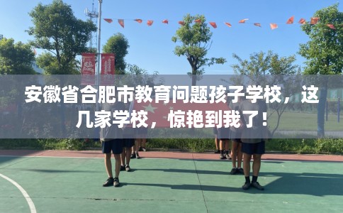 安徽省合肥市教育问题孩子学校,这几家学校,惊艳到我了! 安徽省合肥市教育问题孩子学校,这几家学校,惊艳到我了!