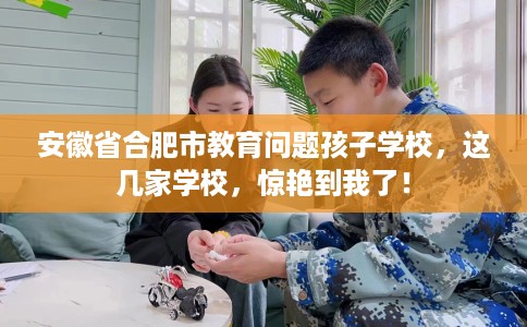 安徽省合肥市教育问题孩子学校,这几家学校,惊艳到我了! 安徽省合肥市教育问题孩子学校,这几家学校,惊艳到我了!