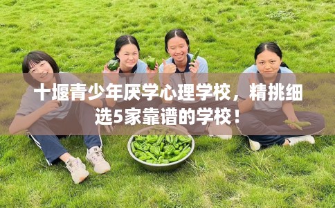 十堰青少年厌学心理学校,精挑细选5家靠谱的学校! 十堰青少年厌学心理学校,精挑细选5家靠谱的学校!