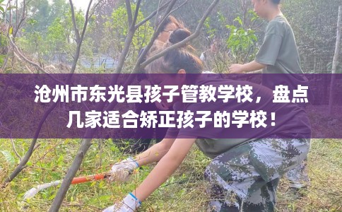 沧州市东光县孩子管教学校,盘点几家适合矫正孩子的学校! 沧州市东光县孩子管教学校,盘点几家适合矫正孩子的学校!