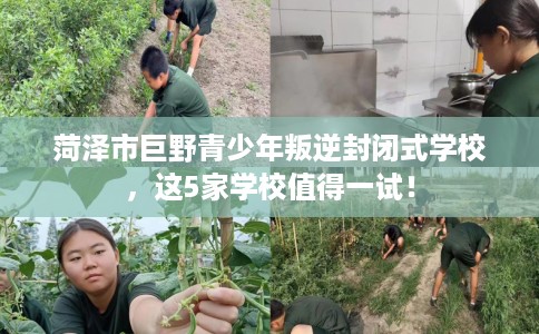 菏泽市巨野青少年叛逆封闭式学校,这5家学校值得一试! 菏泽市巨野青少年叛逆封闭式学校,这5家学校值得一试!