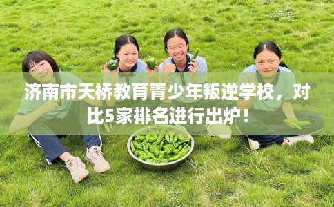 济南市天桥教育青少年叛逆学校,对比5家排名进行出炉! 济南市天桥教育青少年叛逆学校,对比5家排名进行出炉!