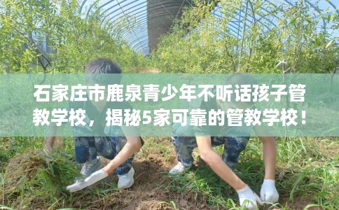 石家庄市鹿泉青少年不听话孩子管教学校，揭秘5家可靠的管教学校！