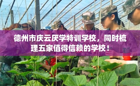 德州市庆云厌学特训学校，同时梳理五家值得信赖的学校！