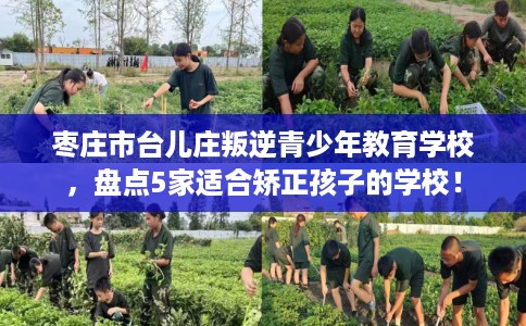 枣庄市台儿庄叛逆青少年教育学校，盘点5家适合矫正孩子的学校！