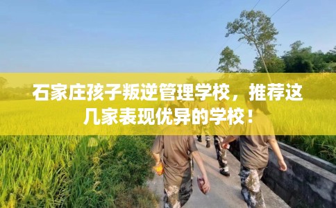 石家庄孩子叛逆管理学校，推荐这几家表现优异的学校！
