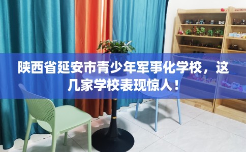 陕西省延安市青少年军事化学校，这几家学校表现惊人！