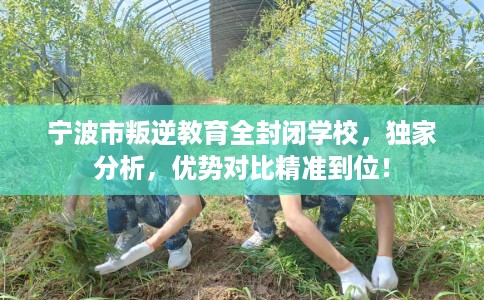 宁波市叛逆教育全封闭学校，独家分析，优势对比精准到位！