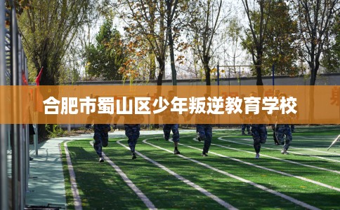 合肥市蜀山区少年叛逆教育学校