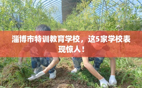 淄博市特训教育学校，这5家学校表现惊人！