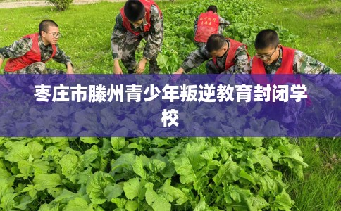枣庄市滕州青少年叛逆教育封闭学校