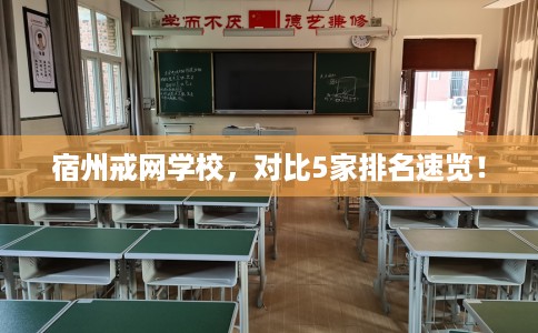 宿州戒网学校，对比5家排名速览！