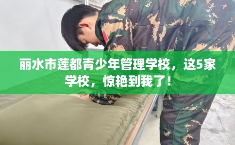 丽水市莲都青少年管理学校，这5家学校，惊艳到我了！