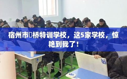 宿州市埇桥特训学校，这5家学校，惊艳到我了！