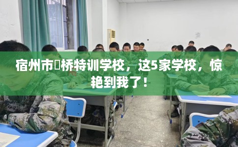 宿州市埇桥特训学校，这5家学校，惊艳到我了！