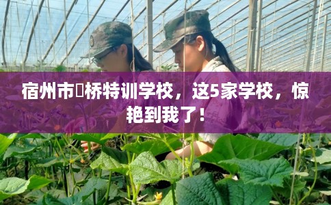 宿州市埇桥特训学校，这5家学校，惊艳到我了！
