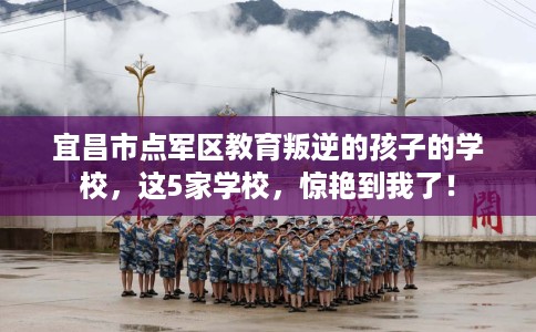 宜昌市点军区教育叛逆的孩子的学校，这5家学校，惊艳到我了！