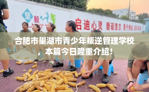 合肥市巢湖市青少年叛逆管理学校,本篇今日隆重介绍! 合肥市巢湖市青少年叛逆管理学校,本篇今日隆重介绍!