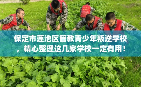 保定市莲池区管教青少年叛逆学校,精心整理这几家学校一定有用! 保定市莲池区管教青少年叛逆学校,精心整理这几家学校一定有用!