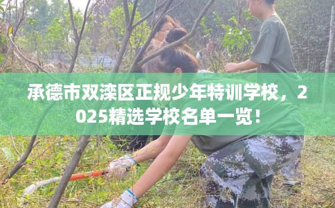 承德市双滦区正规少年特训学校，2025精选学校名单一览！