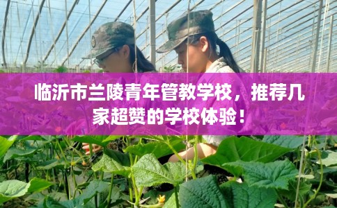 临沂市兰陵青年管教学校，推荐几家超赞的学校体验！