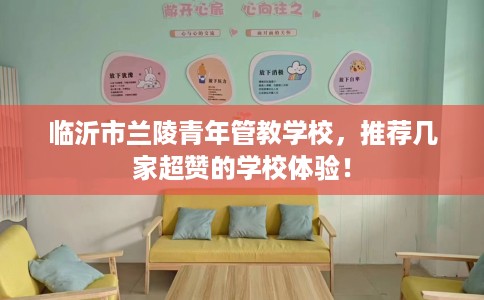 临沂市兰陵青年管教学校，推荐几家超赞的学校体验！