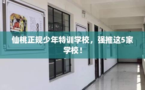 仙桃正规少年特训学校，强推这5家学校！
