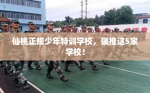 仙桃正规少年特训学校，强推这5家学校！
