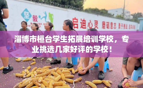 淄博市桓台学生拓展培训学校，专业挑选几家好评的学校！