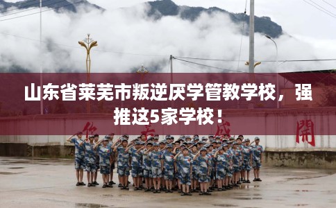 山东省莱芜市叛逆厌学管教学校，强推这5家学校！