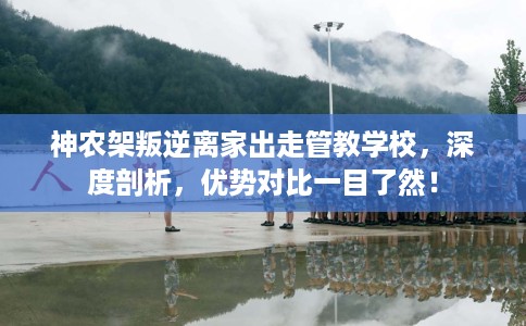 神农架叛逆离家出走管教学校，深度剖析，优势对比一目了然！