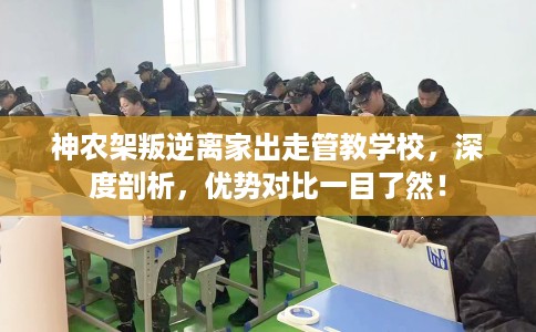 神农架叛逆离家出走管教学校，深度剖析，优势对比一目了然！