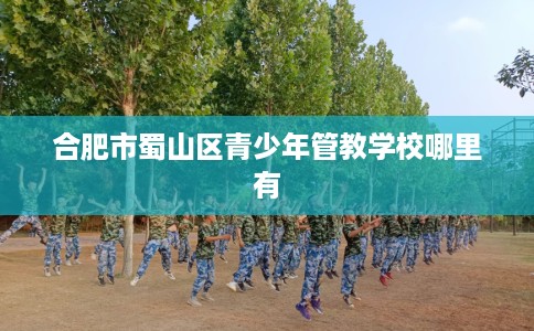 合肥市蜀山区青少年管教学校哪里有 合肥市蜀山区青少年管教学校哪里有
