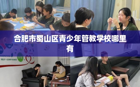 合肥市蜀山区青少年管教学校哪里有 合肥市蜀山区青少年管教学校哪里有