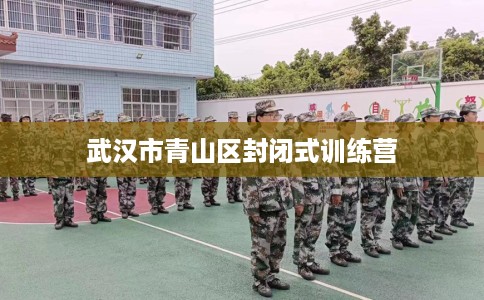 武汉市青山区封闭式训练营 武汉市青山区封闭式训练营