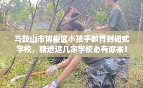 马鞍山市博望区小孩子教育封闭式学校,精选这几家学校必有你需! 马鞍山市博望区小孩子教育封闭式学校,精选这几家学校必有你需!