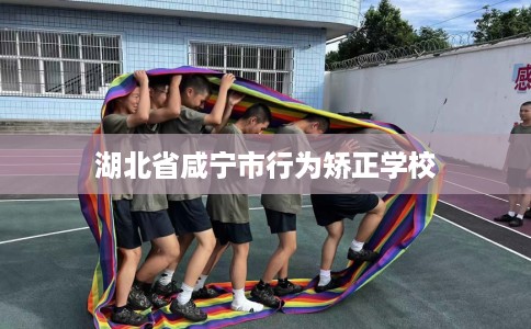 湖北省咸宁市行为矫正学校