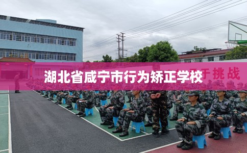 湖北省咸宁市行为矫正学校