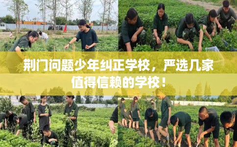 荆门问题少年纠正学校，严选几家值得信赖的学校！