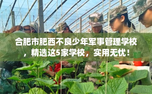 合肥市肥西不良少年军事管理学校，精选这5家学校，实用无忧！