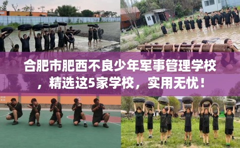合肥市肥西不良少年军事管理学校，精选这5家学校，实用无忧！