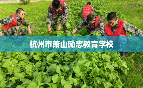 杭州市萧山励志教育学校