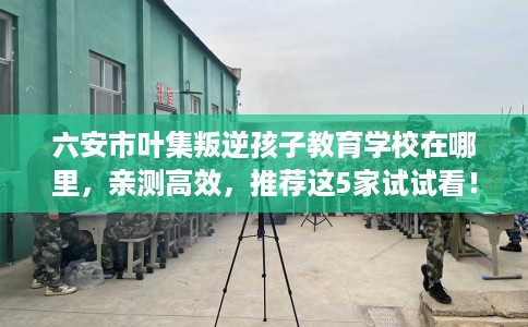 六安市叶集叛逆孩子教育学校在哪里，亲测高效，推荐这5家试试看！