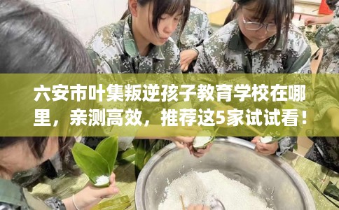 六安市叶集叛逆孩子教育学校在哪里，亲测高效，推荐这5家试试看！