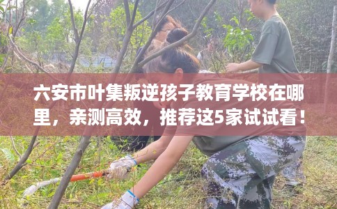 六安市叶集叛逆孩子教育学校在哪里，亲测高效，推荐这5家试试看！