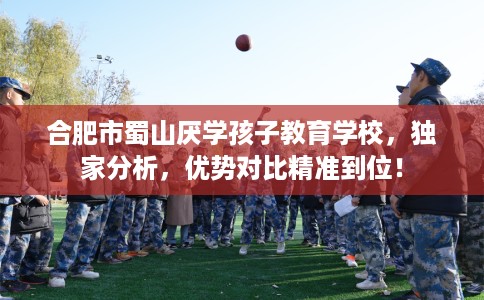 合肥市蜀山厌学孩子教育学校，独家分析，优势对比精准到位！