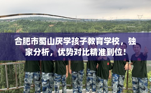 合肥市蜀山厌学孩子教育学校，独家分析，优势对比精准到位！