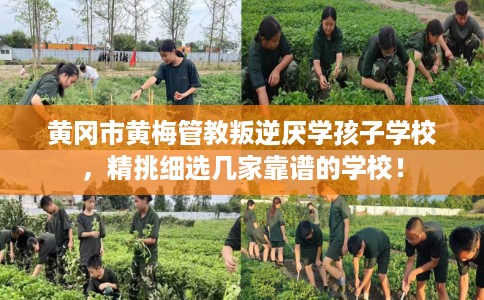 黄冈市黄梅管教叛逆厌学孩子学校，精挑细选几家靠谱的学校！