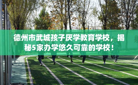 德州市武城孩子厌学教育学校，揭秘5家办学悠久可靠的学校！